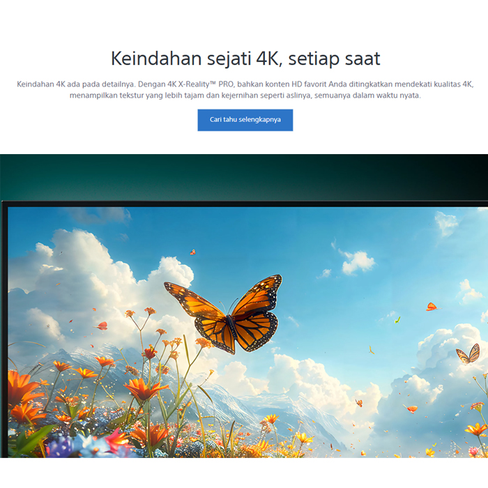 Sony Smart Google TV BRAVIA II LED 4K Ultra HD 65 Inch - K-65S20M2